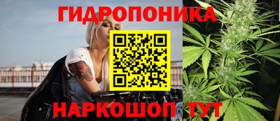 стаф Ирбит