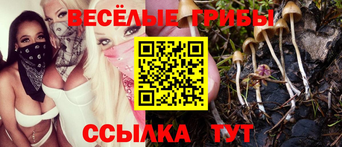Галлюциногенные грибы прущие грибы Ярославль