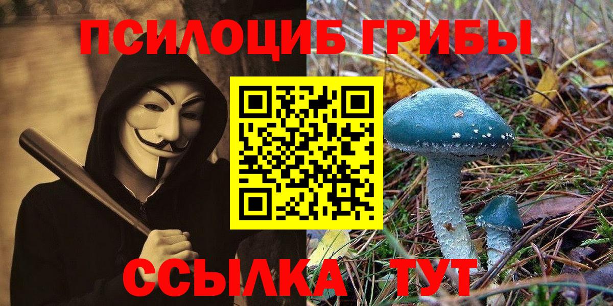 Галлюциногенные грибы ЛСД  Вход с VPN  купить  цена  Ярославль  Псилоцибиновые грибы Psilocybine cubensis 